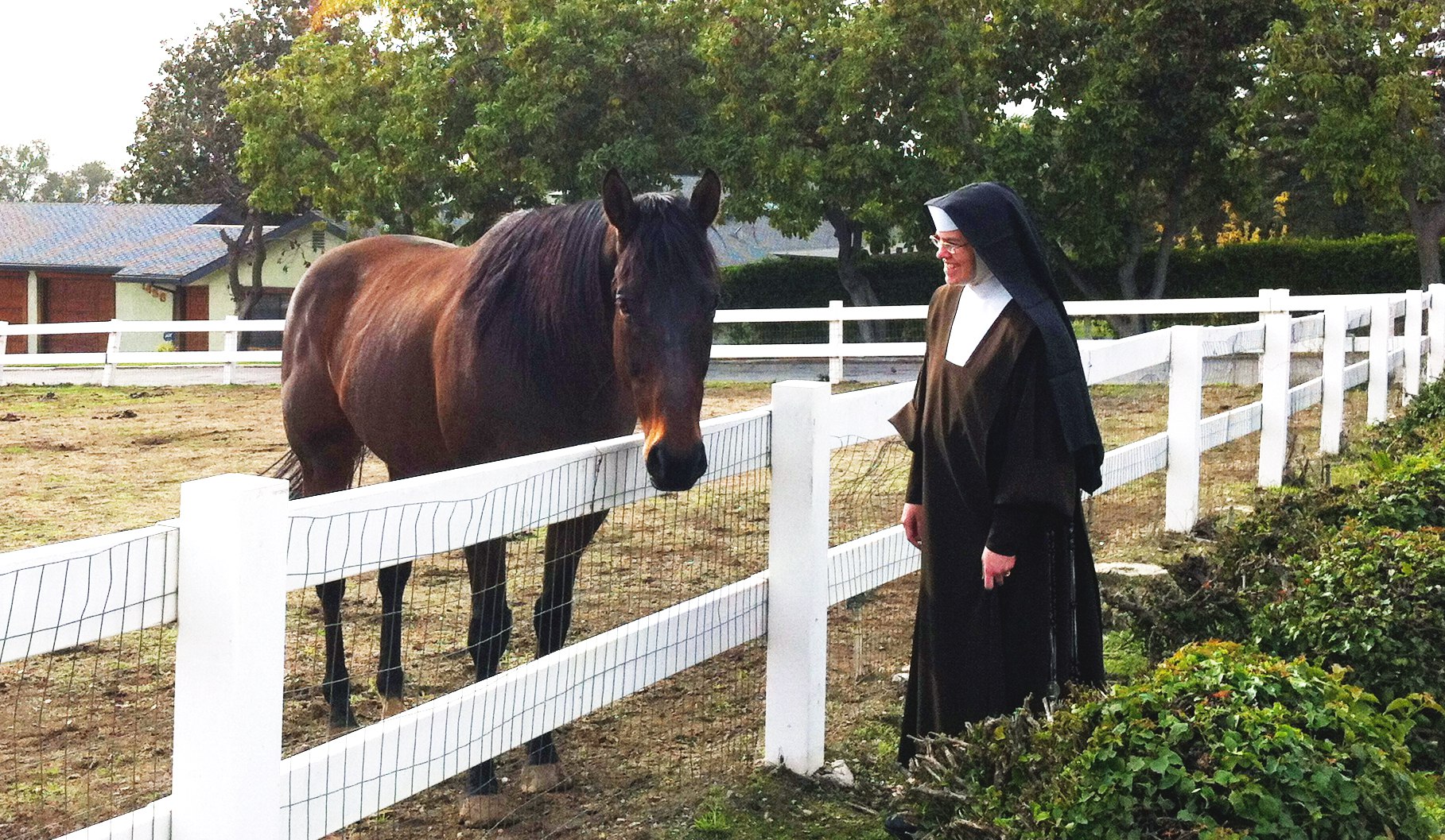 Carmelite Sister and Horse