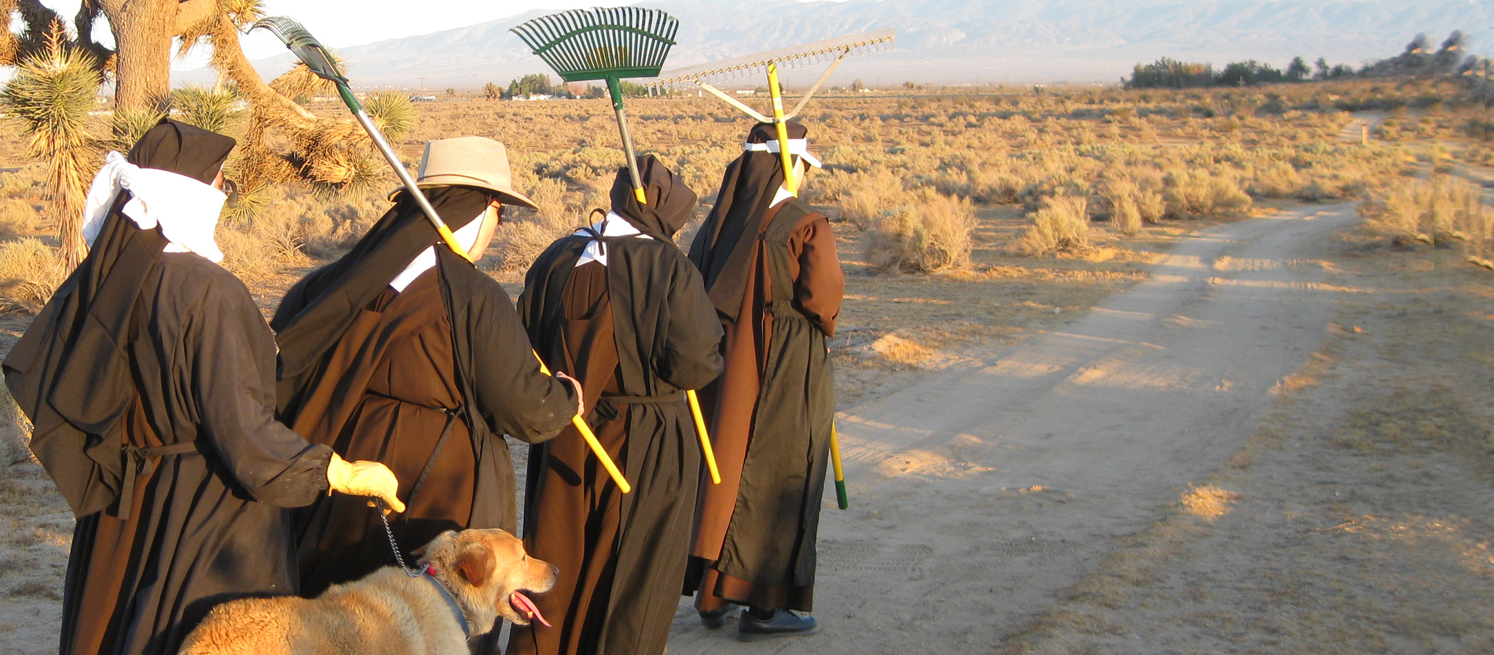 Carmelite Sisters holding tools, walking to work outside