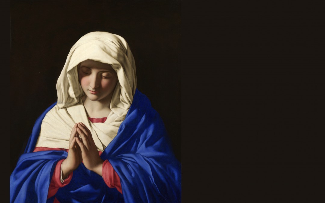 Mary, the Mother of God and Our Mother