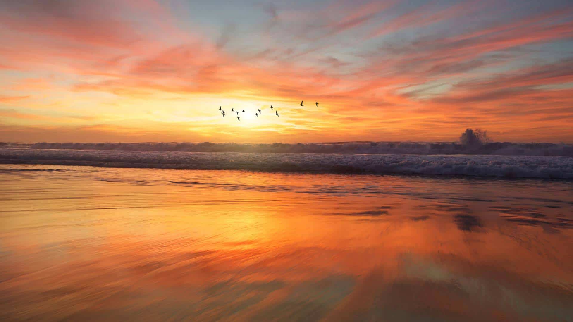 sunset over ocean waves with birds flying
