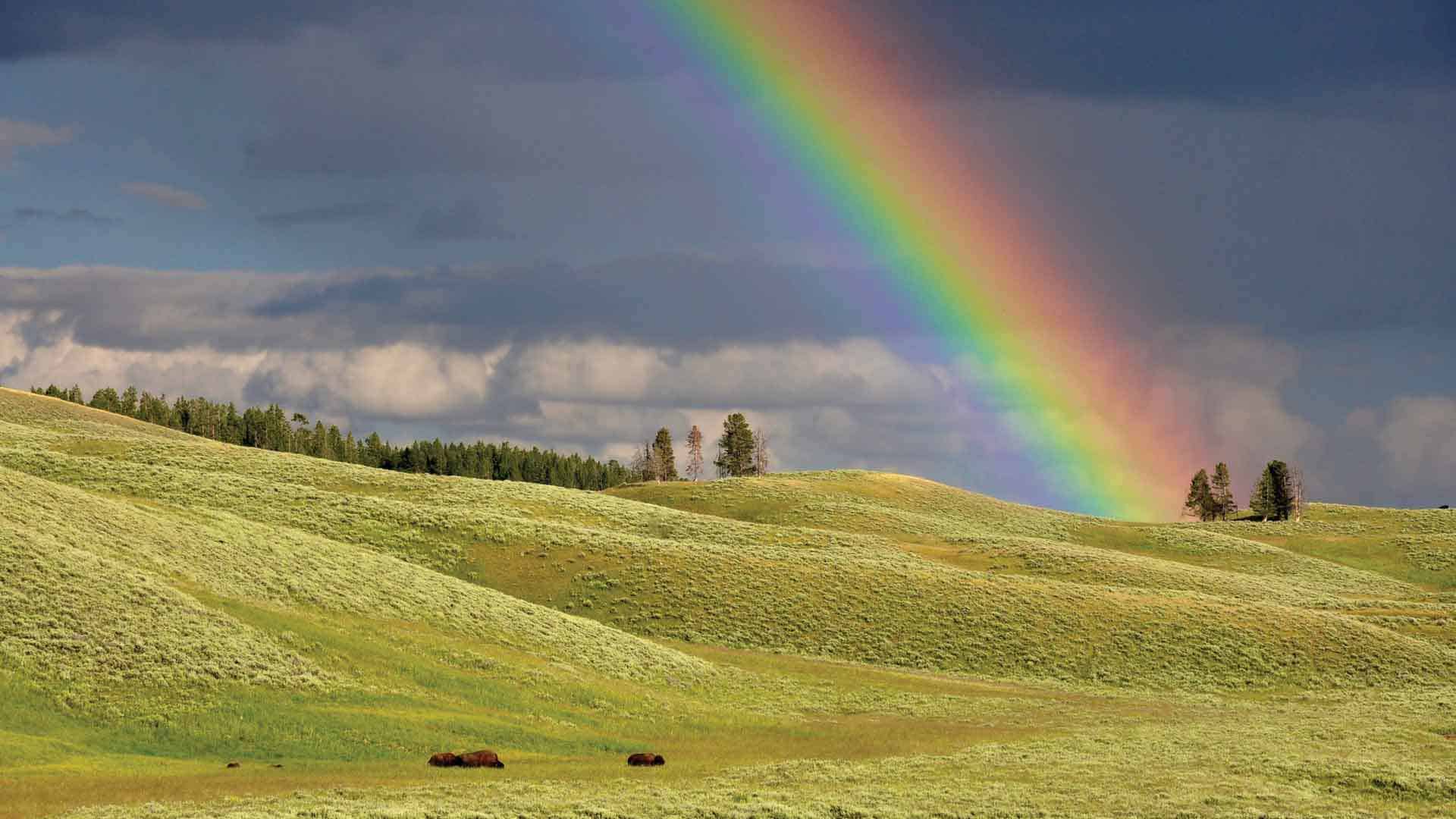 rainbow over grassy hills