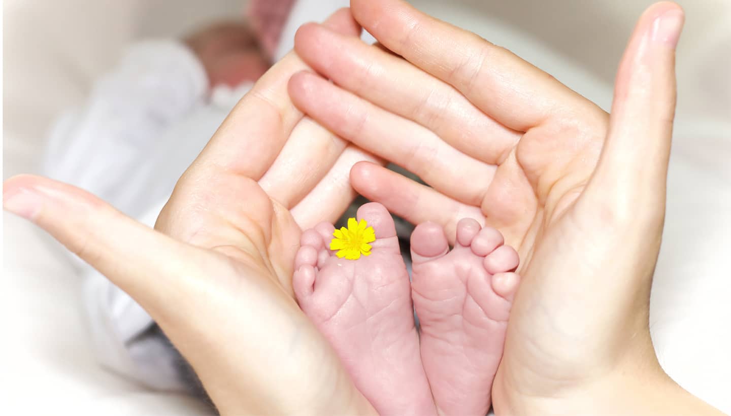 hands holding baby feet with yellow flower sticking out of baby's toes