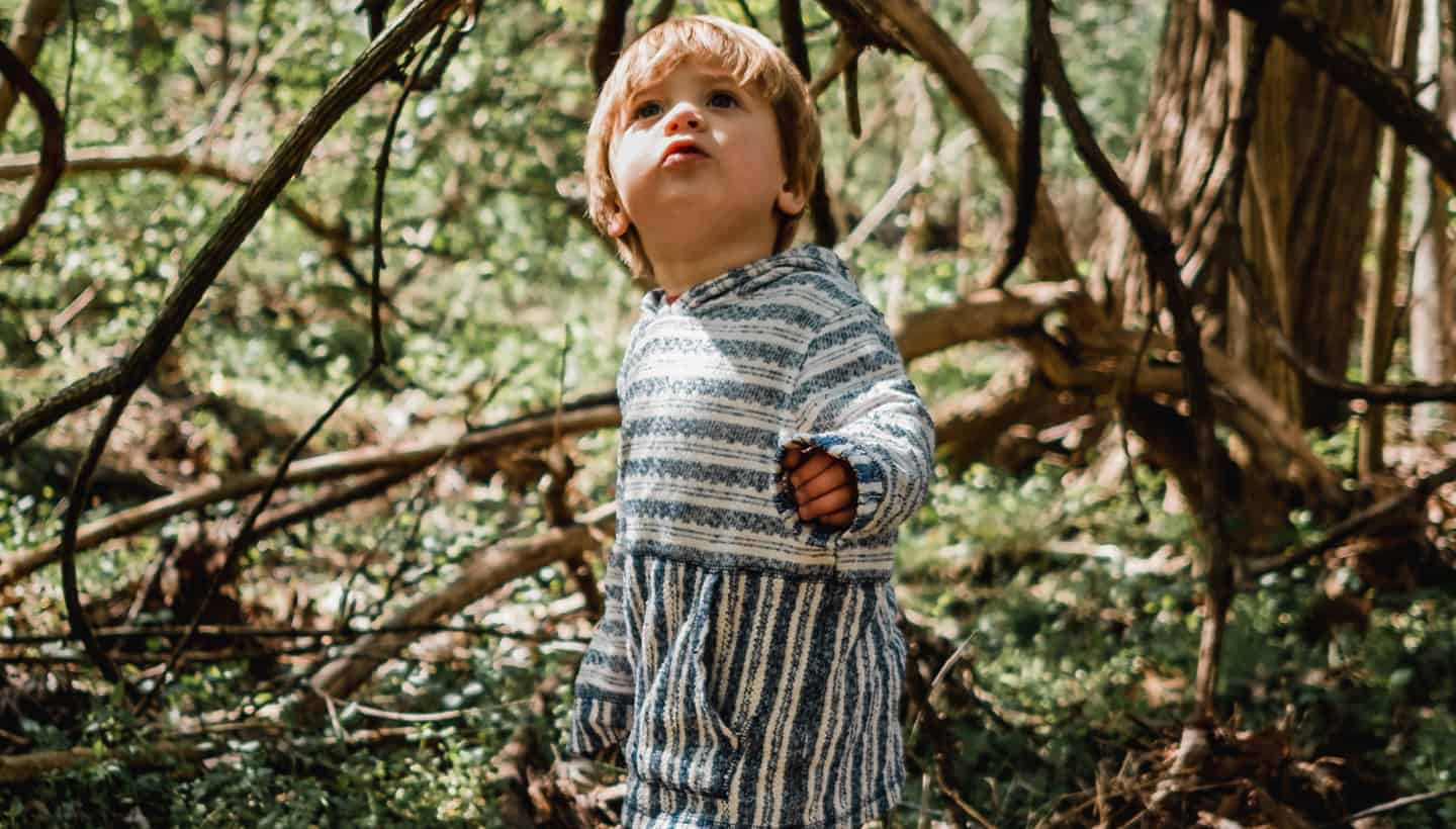 A little boy looking up in a forrest