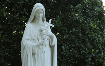 Carmelite Musings | St. Therese
