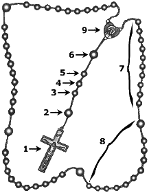 Rosary with numbered parts showcasing how to use it to pray the Divine Mercy Novena